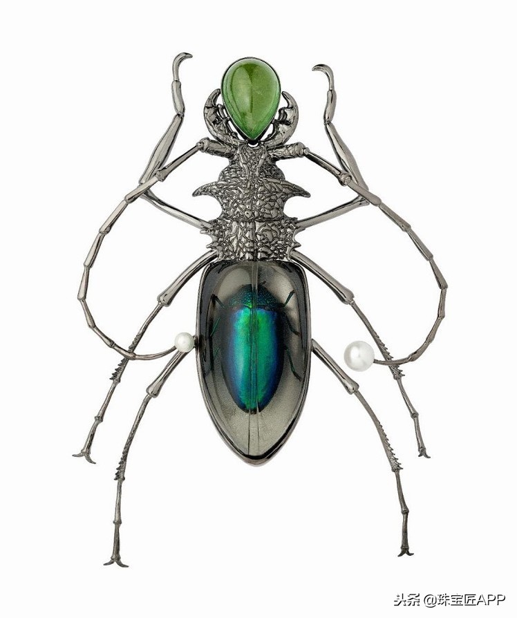 昆虫做的珠宝首饰,用昆虫做的艺术品