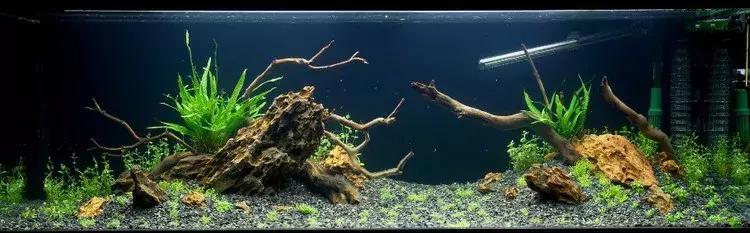 家装室内水系造景设计,家居鱼池假山布局