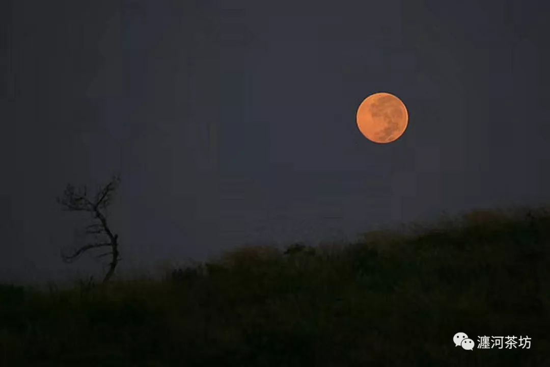 濂冲搼宸寸梾浜虹殑鏁呬簨,鏈嬪弸璋㈣阿浣犲コ澹板畬鏁寸増