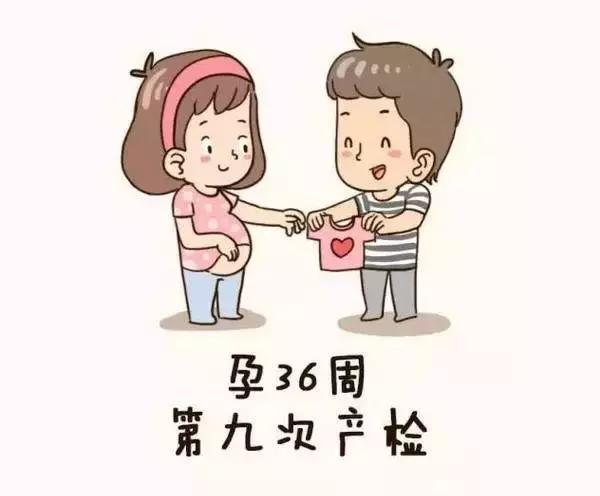 孕妇产检全流程手绘图,产科医生画图