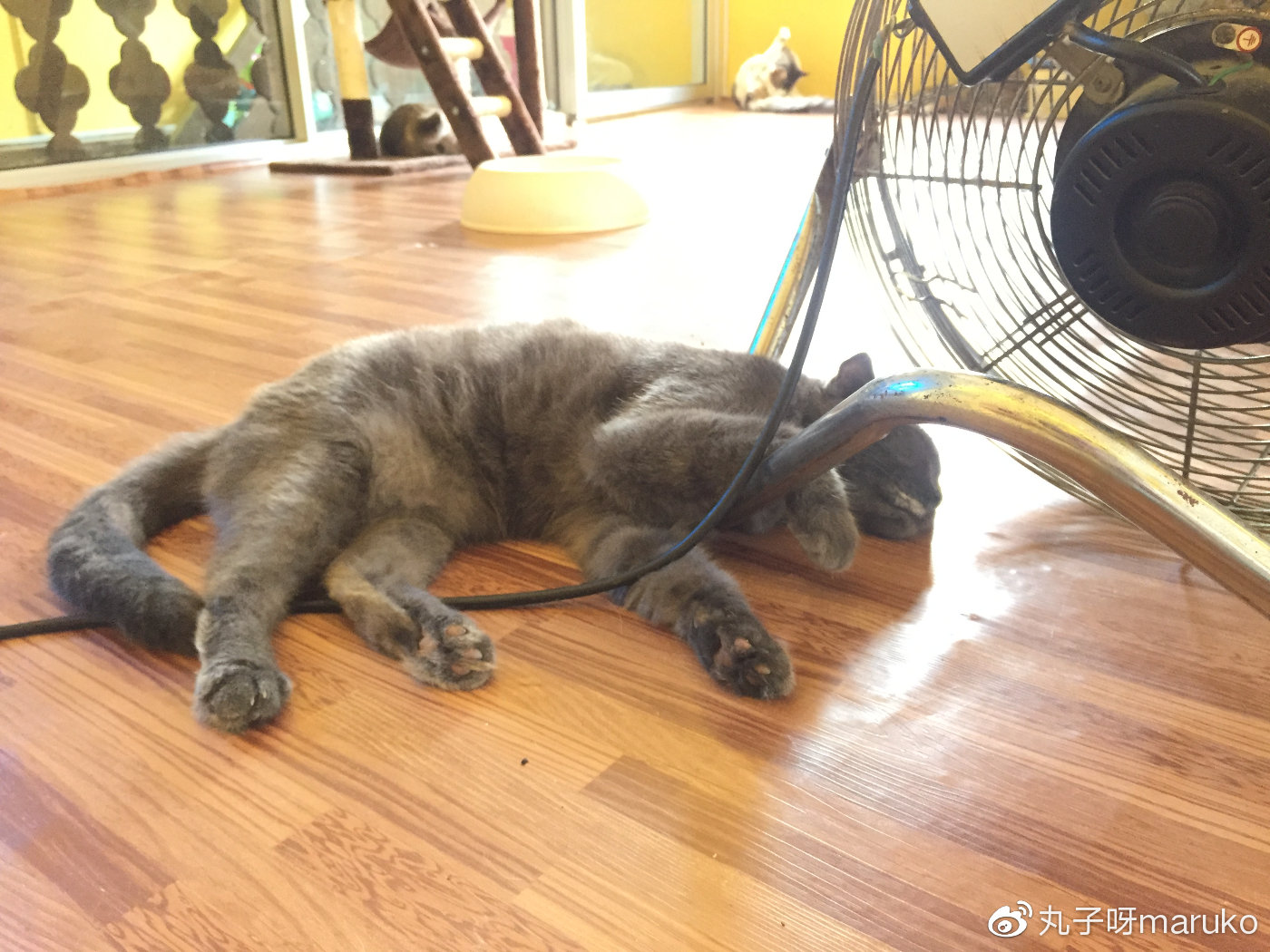 马来西亚槟城欢乐假期之旅,马来西亚槟城自由行