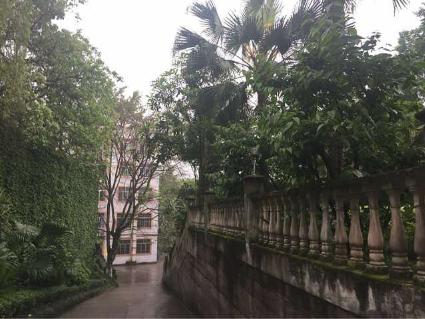 重庆南岸小学学校排名,重庆南岸区小学校招生范围一览