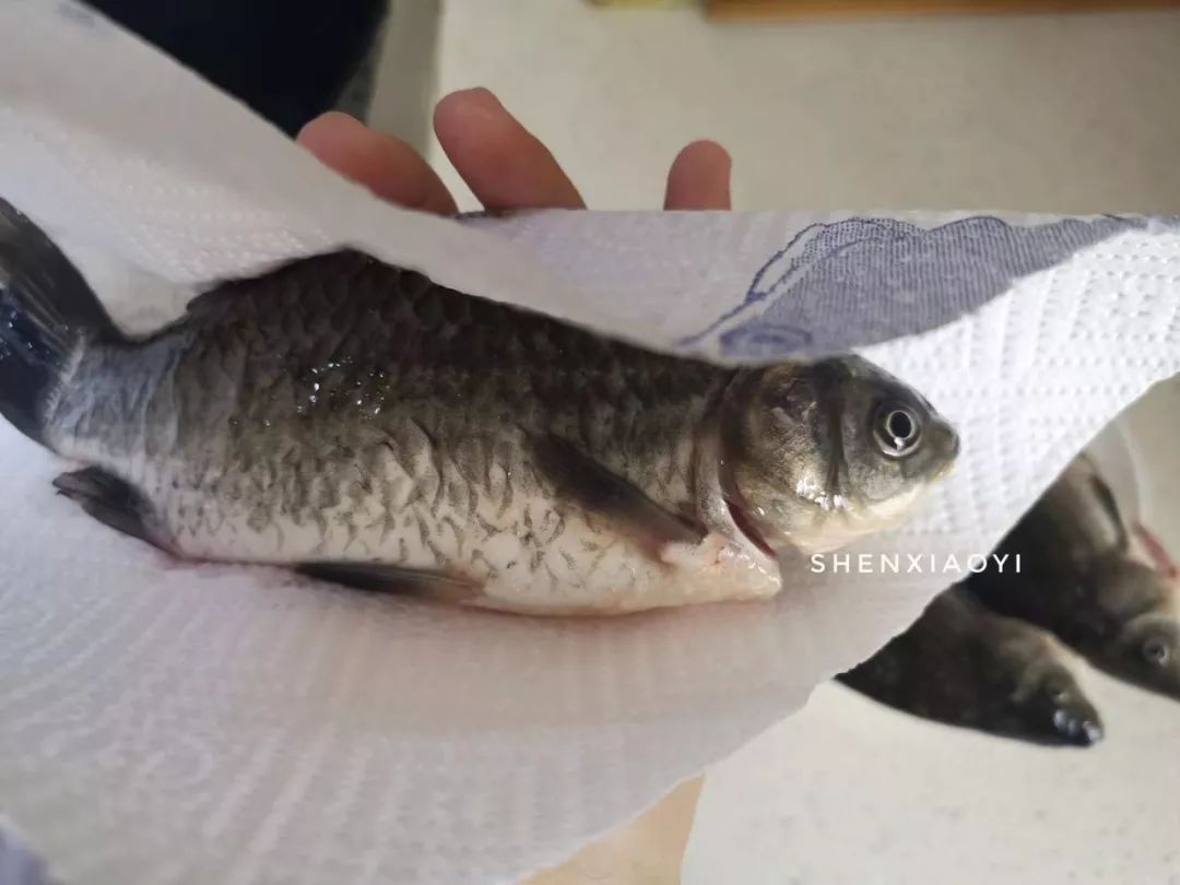 清汤鱼要怎么煮汤才会白,如何让鱼煮得更白汤