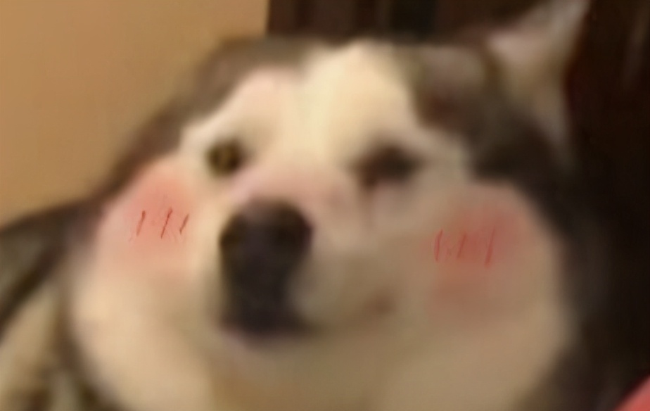 卖茅台空酒瓶获利犯法吗,茅台空瓶子可以卖钱吗