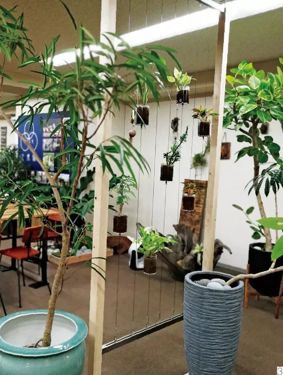 走进日本百年花店——日比谷花坛