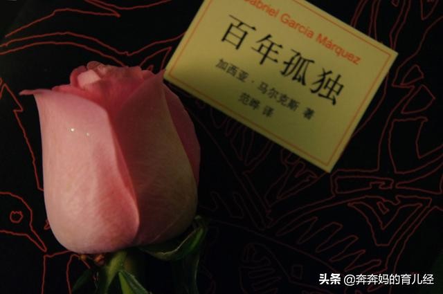 名著百年孤独,关于百年孤独这本书