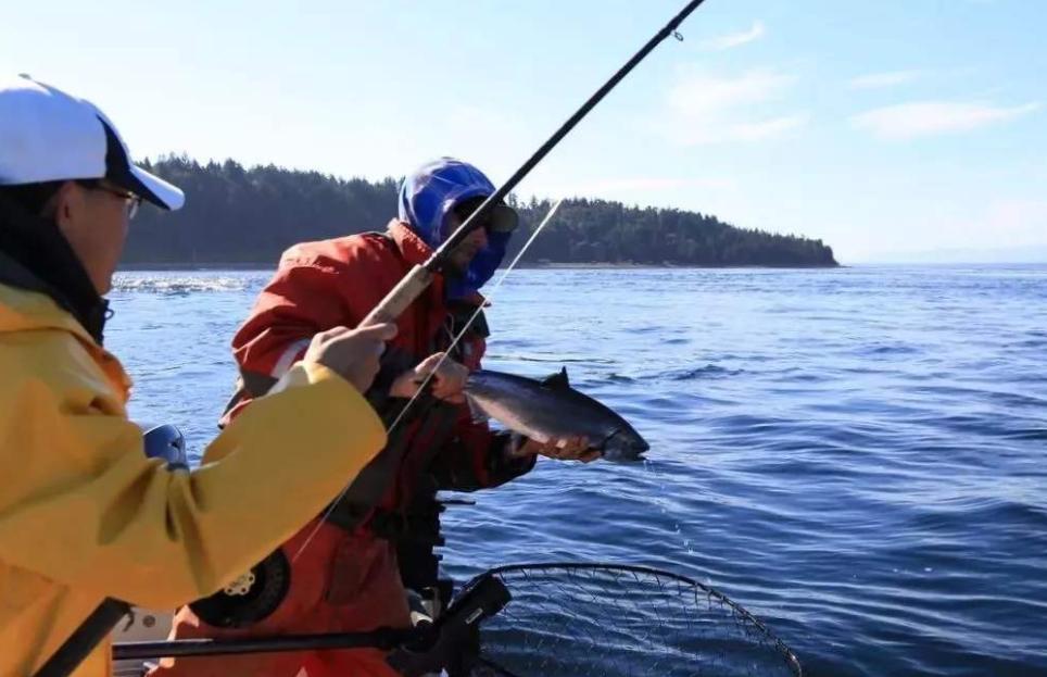 钓鱼的所有学问图片,钓鱼最有学问的说法