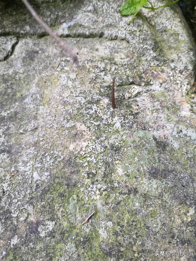 黄山最吓人景区,黄山爬山最吓人的地方