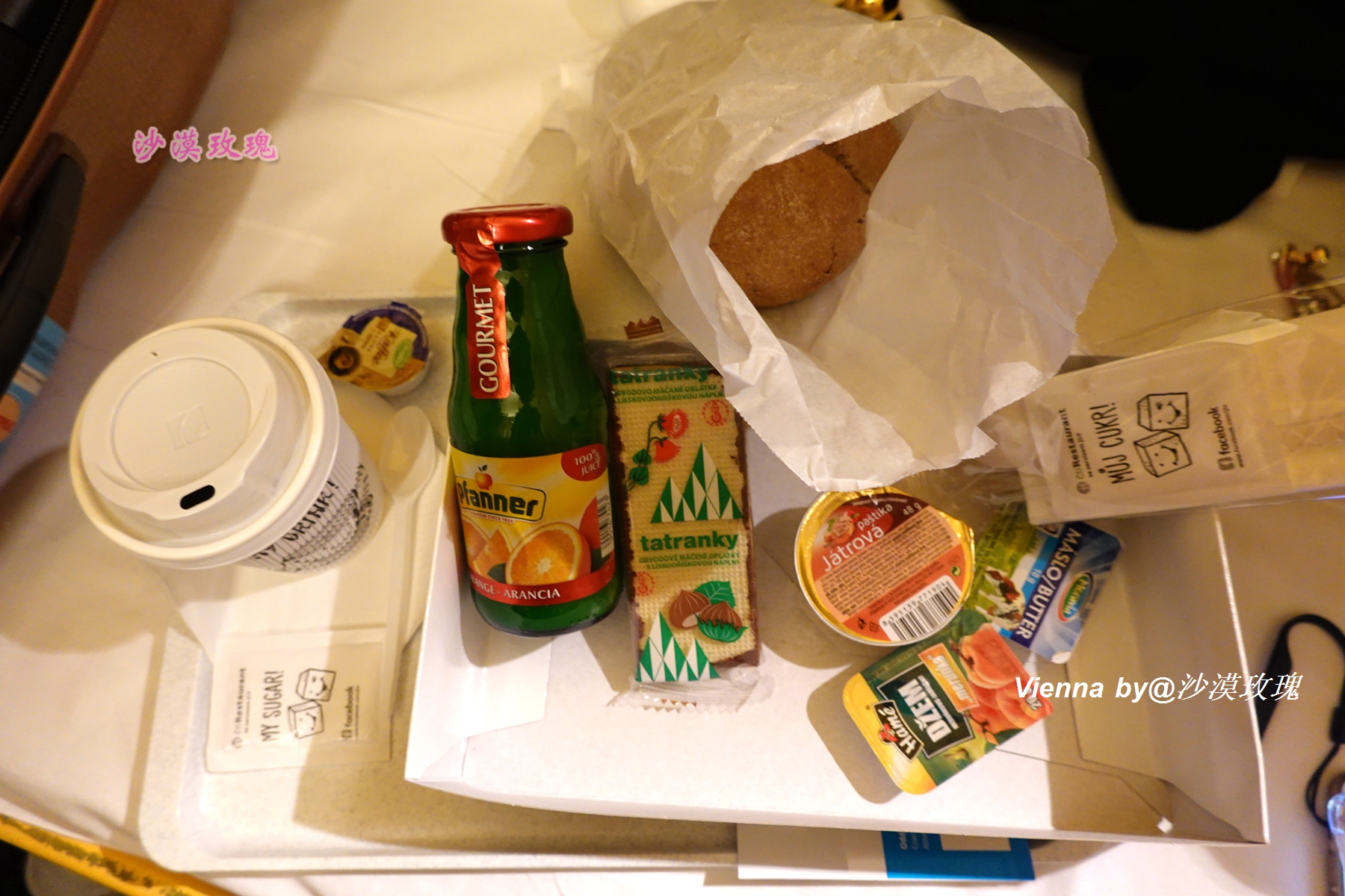 干货|在不能自驾的捷克,手把手教你预订铁路车票