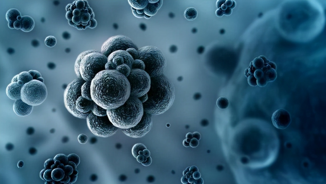 如果苍蝇灭绝对地球有什么影响,假如苍蝇灭绝了世界会变成什么样