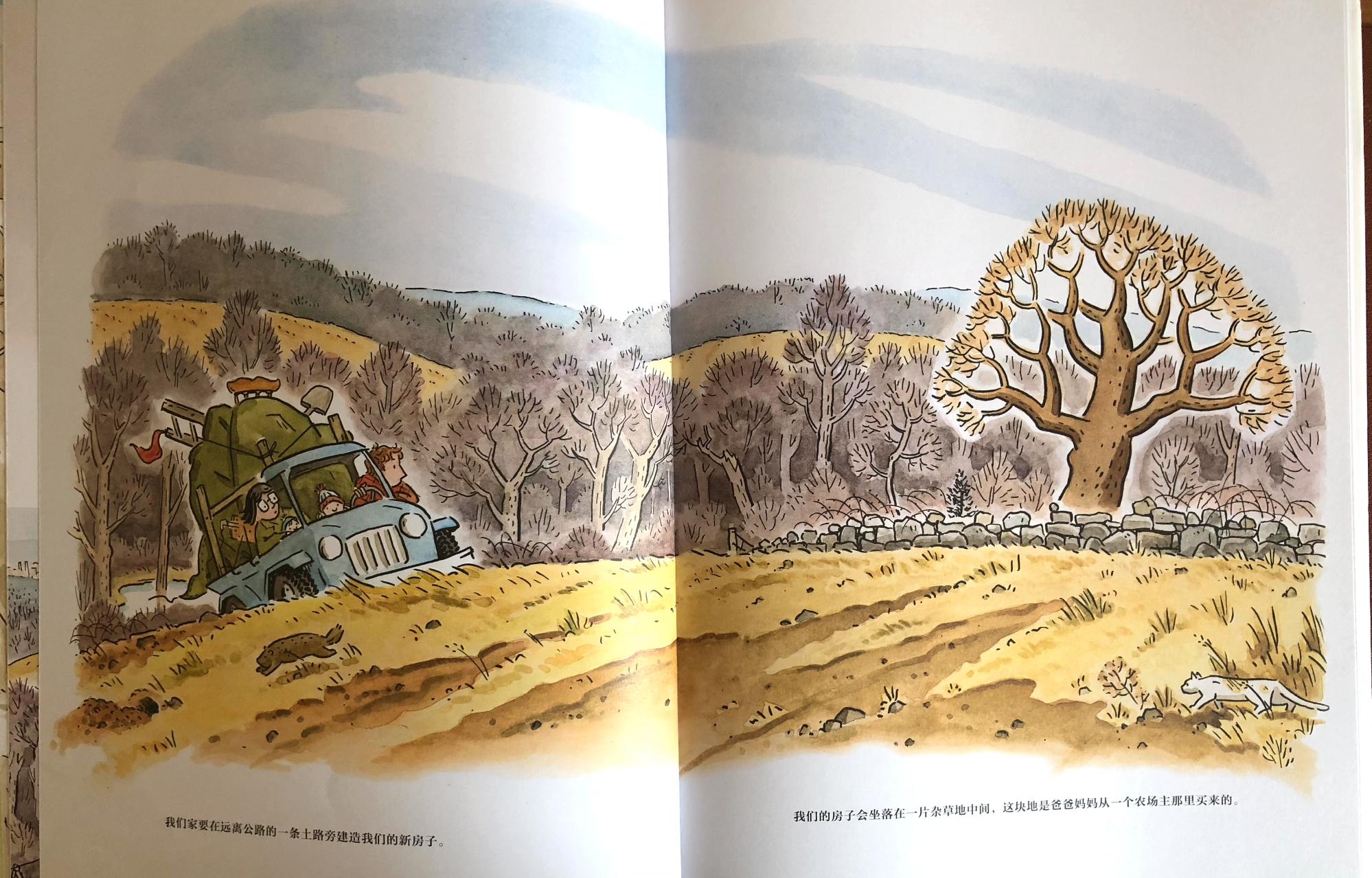 房屋建造全过程绘本,自己的家才是最好的绘本故事