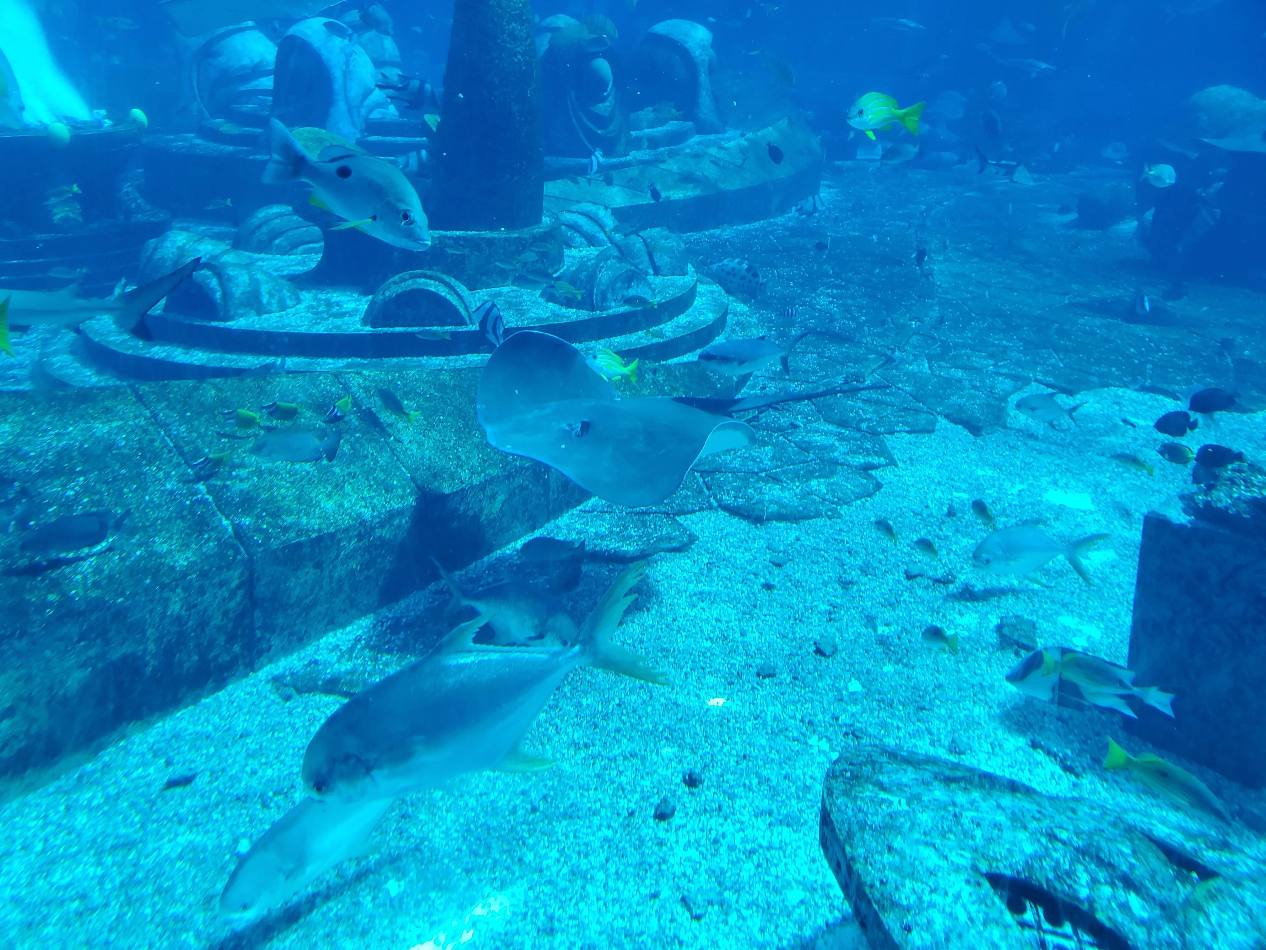 这个冬天我就要去旅行,来三亚享受着冬天里的夏天吧