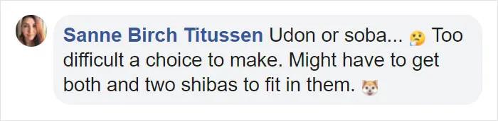 宜家小床被铲屎官们变成宠物床,日本网友:我“泡面杯床”不服