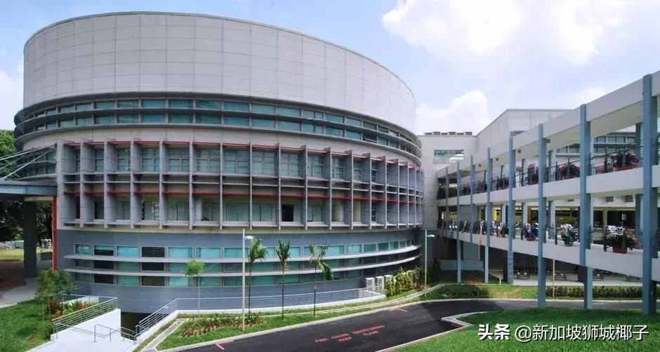 新加坡最贵的东西是什么,什么东西新加坡很便宜中国很贵