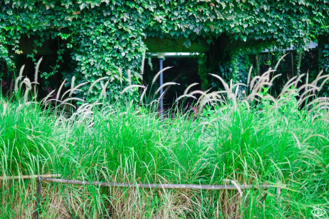 深圳宝藏公园风景图片,深圳宝藏自然游乐区