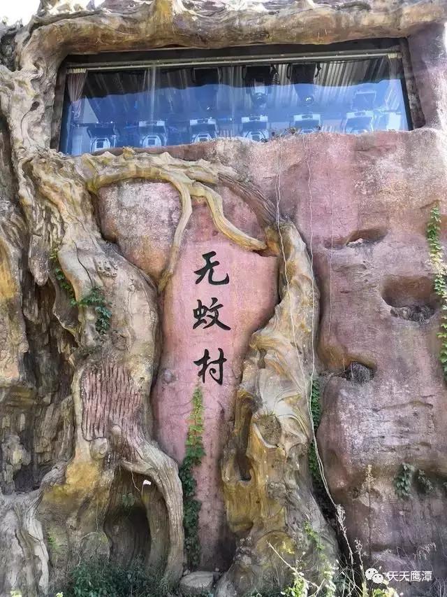 鹰潭和龙虎山道教,鹰潭龙虎山道教发源地