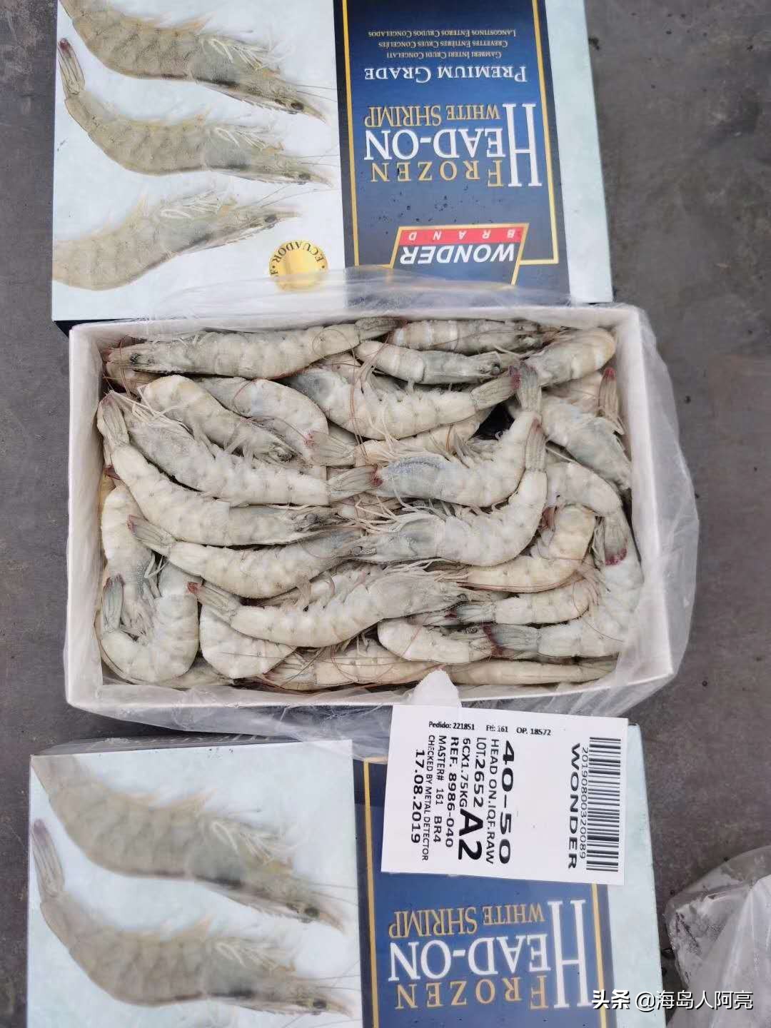 走进千家万户的海鲜~~~~虾（聊聊它身上的事，有点长坚持看完）