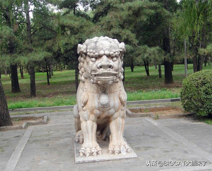 古人记载老虎和狮子哪个更猛,关于老虎和狮子真实记载