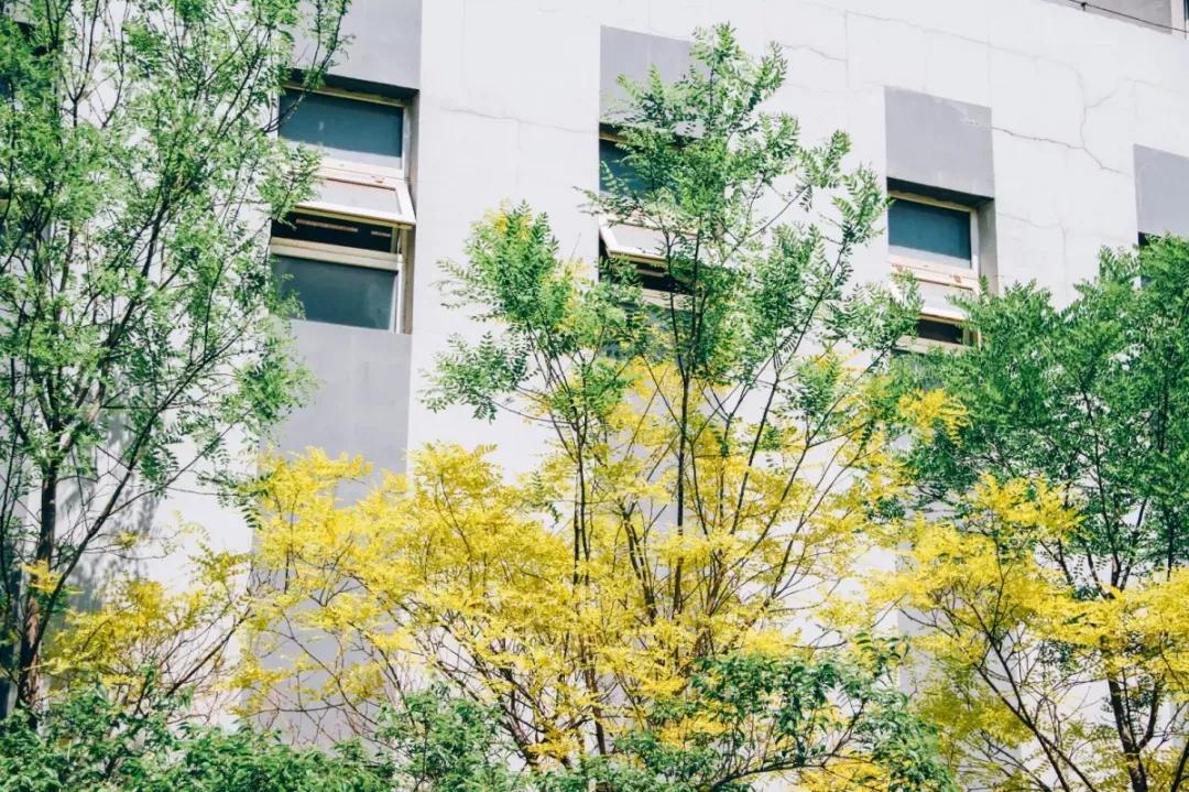 天津民办二本大学,天津仁爱学院滨海校区