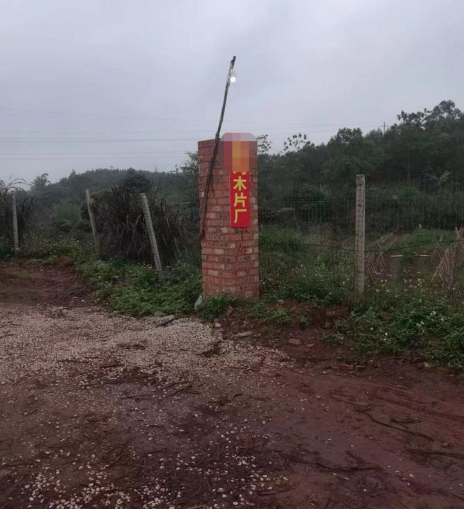 回家扫墓发现祖宗的坟不见了,回家扫墓坟不见了