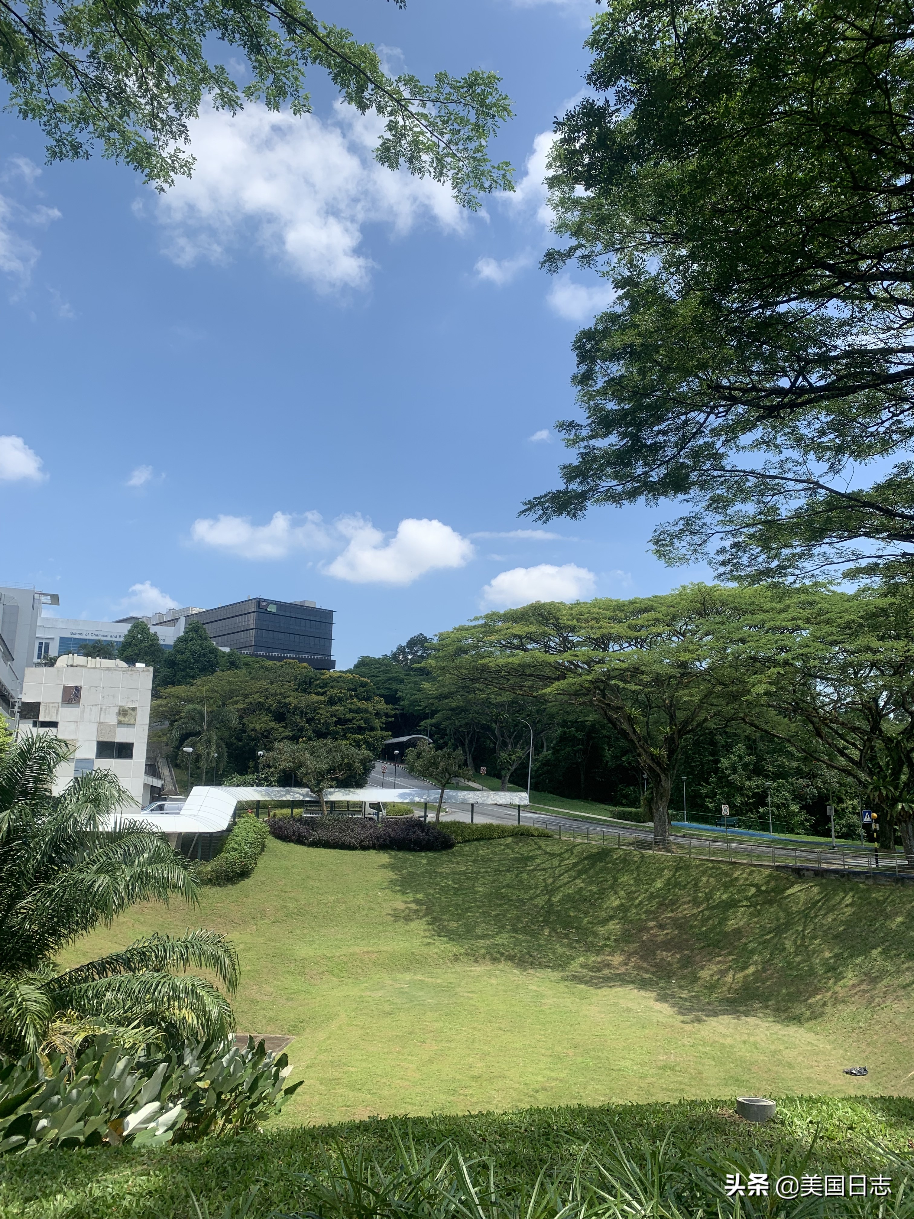 2017年新加坡生活,记录一下在新加坡的日子