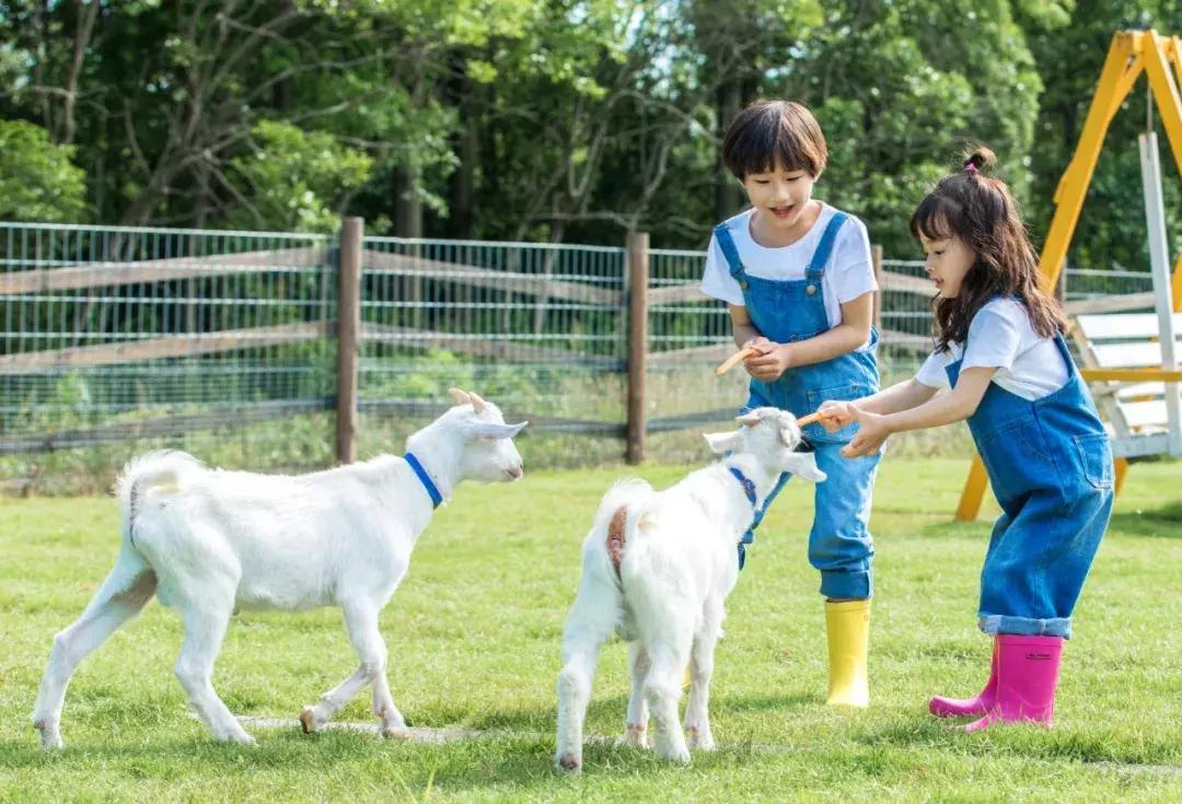 你属什么就注定了你的命,你属什么决定你是什么命