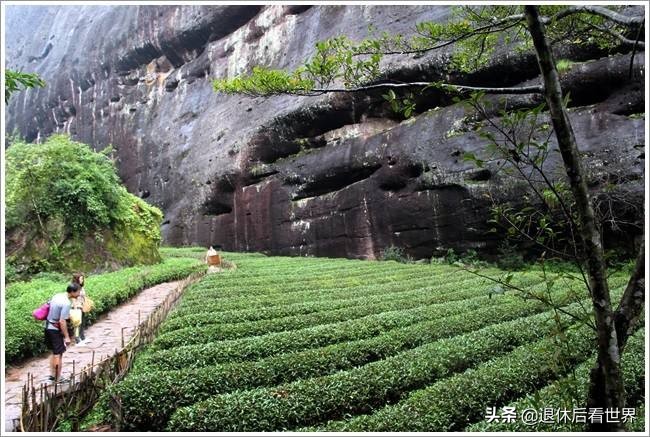 武夷山二日游,雨中漫游武夷山