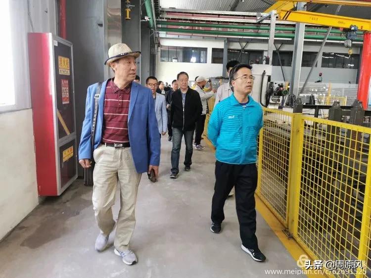 赴一场春日的邀约,五月赴一场与槐花的约会