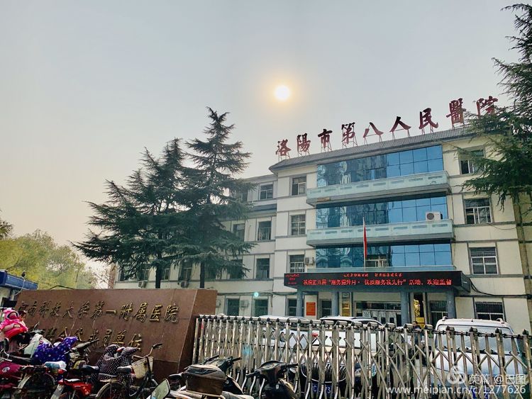 手机拍洛阳,涧西牡丹广场老照片