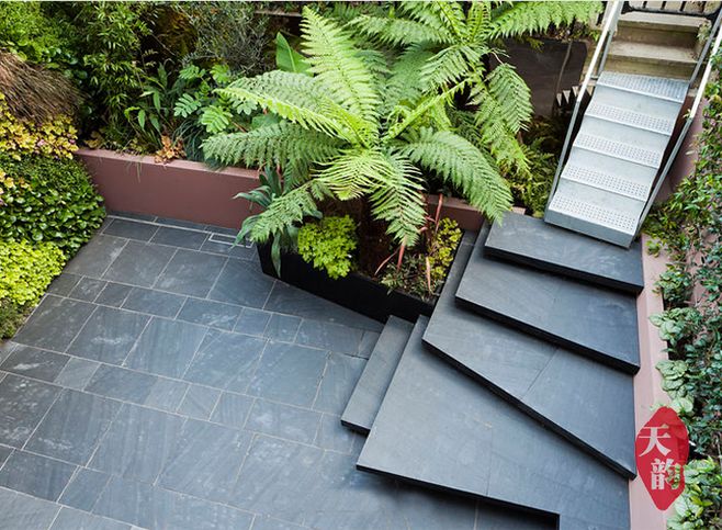 学习一刻!景观材料提升篇——新型石灰岩与常用木材种类!