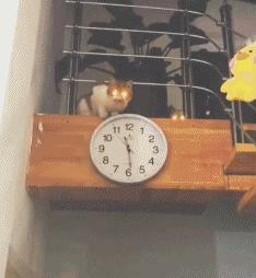 开工语言怎么说,工厂开工率英语怎么说