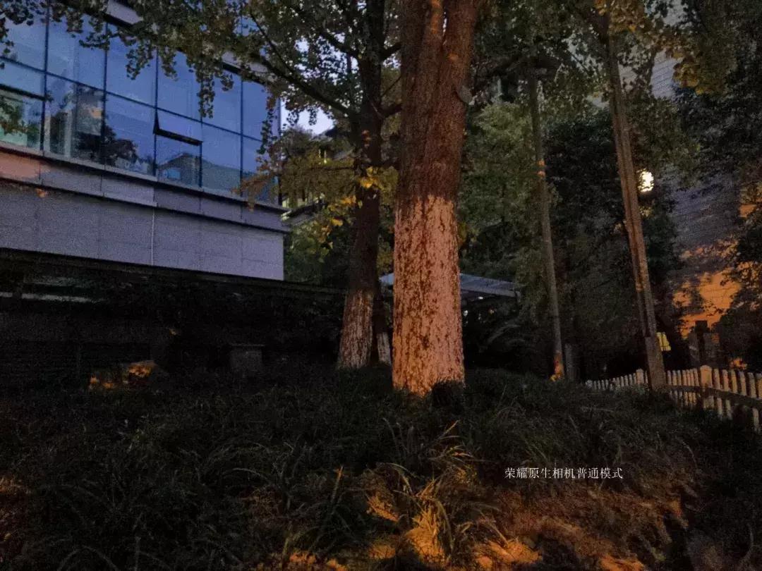 千元机变万元机,千元机拍照堪比苹果