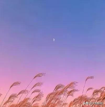 夜读人生成功之路,夜读一个人最靠谱的能力