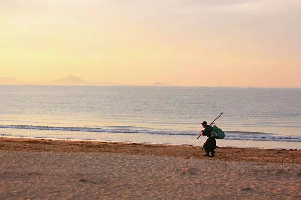 摄影点评(熊猫上班)