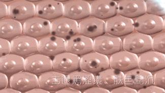 独特益生菌成分，帮你重返18岁少女娇嫩