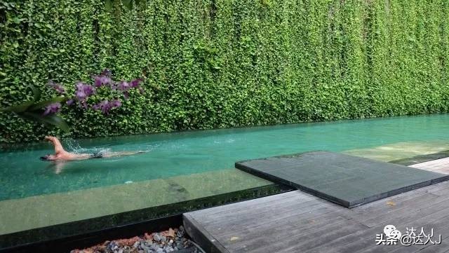 清迈攻略介绍,清迈攻略最全