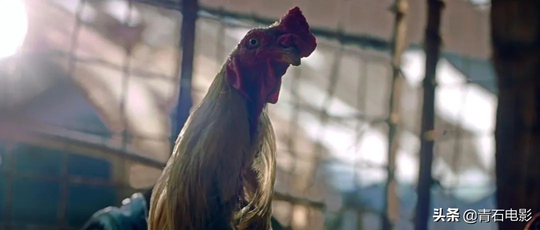 印度又出高能悬疑片！132分钟无尿点，反转后还是反转，结局神了