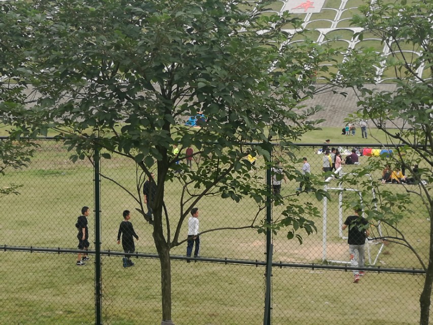 福州登云水库生态公园,福州新晋网红打卡景点在哪里