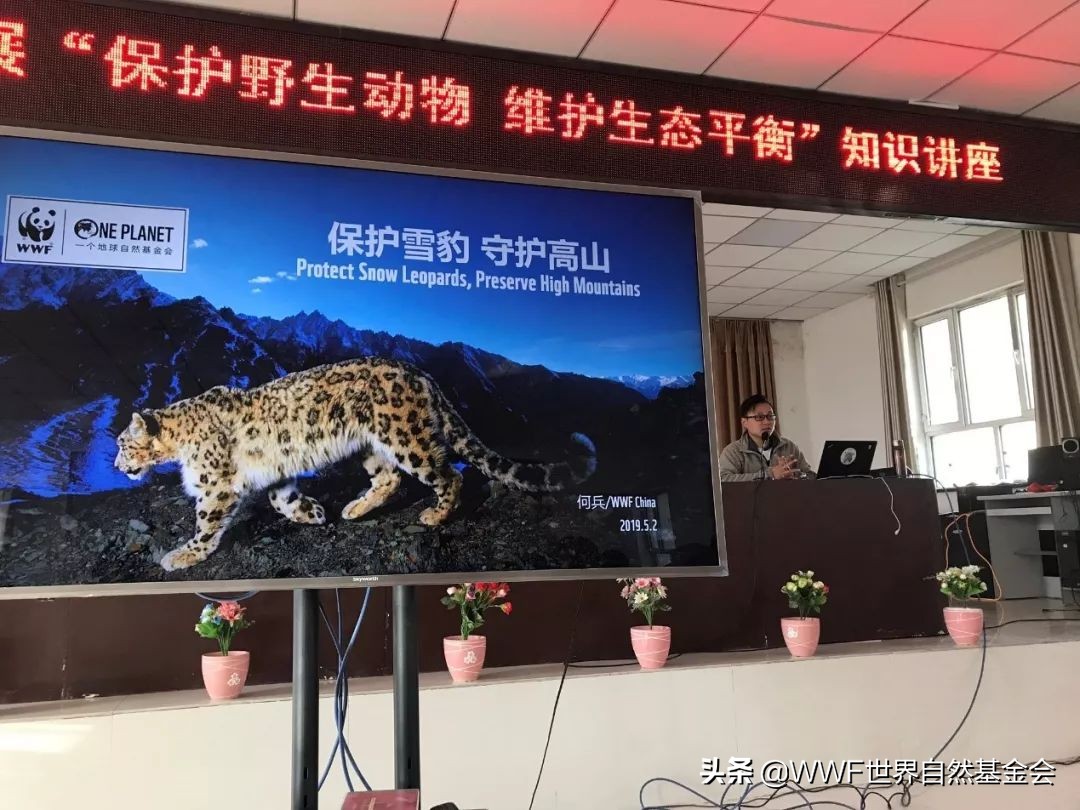 如何正确的品味一首歌,如何品味咖啡更美味