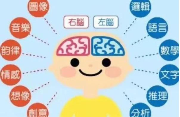 如何开发孩子右脑,怎么开发孩子右脑提高记忆力