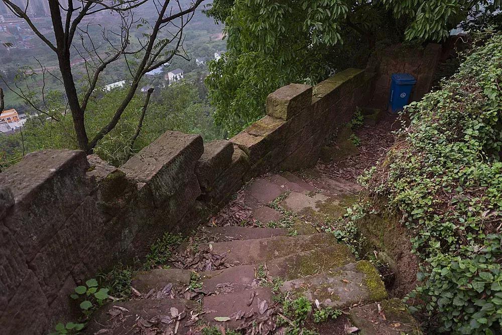 渝北枇杷正黄，冒冒失失穿越铁壁、胜保、斗碗三寨