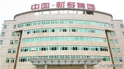 新多集团山东事业部,新多集团分公司有哪些