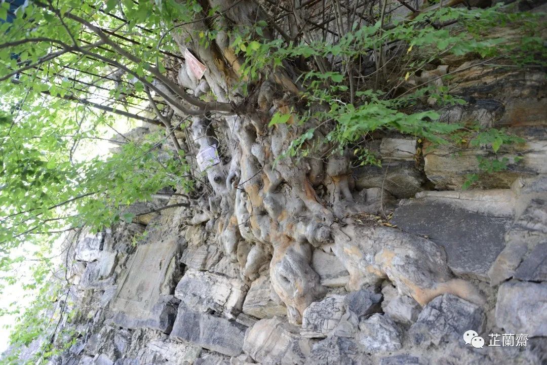 璞珷涔﹂櫌,涔﹂櫌淇濆畾