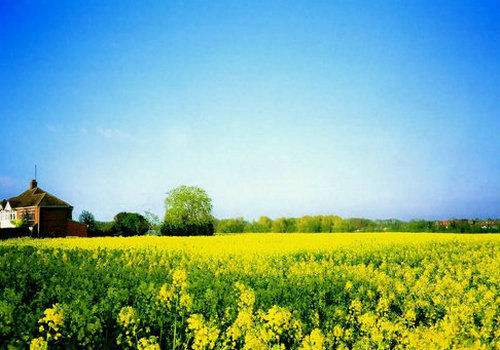 偷得浮生半日闲广东,偷得浮生半日闲鼎湖山之旅