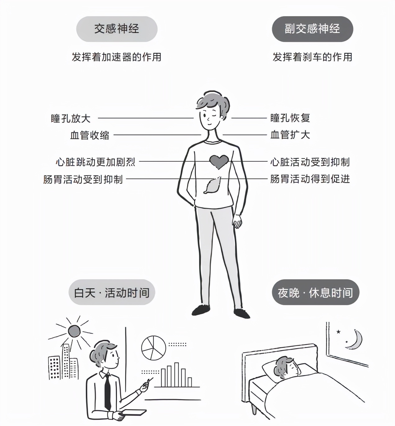 脱发不要错过任何生发产品,脱发生发小知识