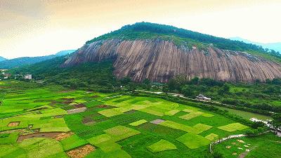 璧拌繘鑲囧簡,璧拌繘鑲囧簡浜嗚В鑲囧簡