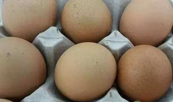 鸡蛋人工孵化技术,鸡蛋需要满足什么条件才会孵化