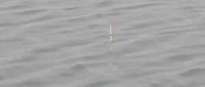 如何判断漂相最准确,上鱼的10种漂相图解