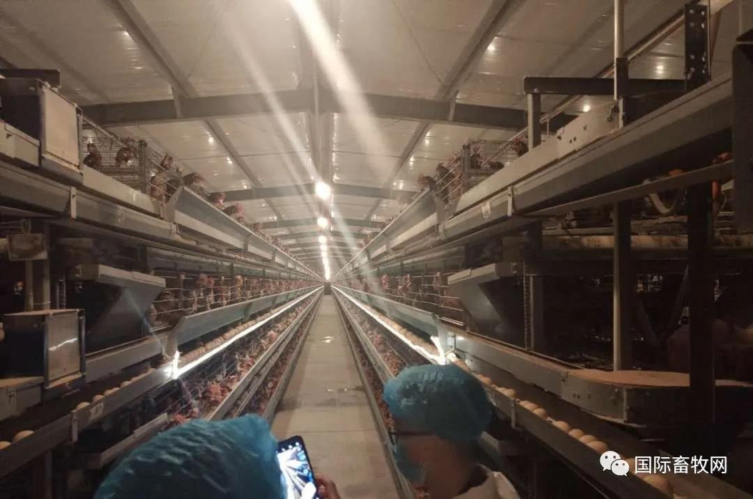 鍏虫敞椋熷搧瀹夊叏淇濋殰澶т紬鍋ュ悍,鍏虫敞椋熷搧瀹夊叏鍏虫敞鍋ュ悍鐢熸椿