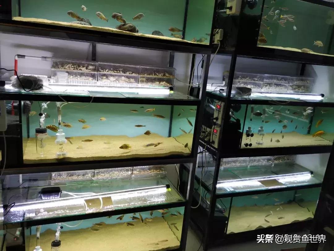 梦想的三湖世界持续建设中……方位:中国天津